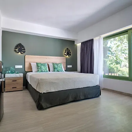 The Tree Apartment *