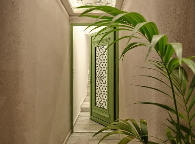 The Tree Apartament *