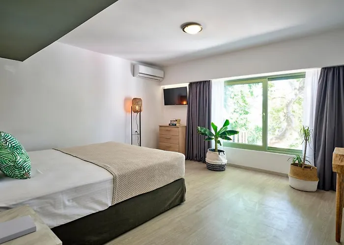 Apartament The Tree Skiatos